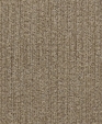 Arr_101_medium_cropped