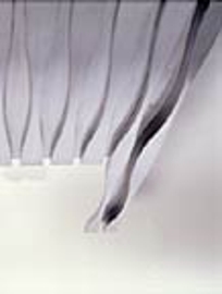 Box Ripples *ACS-60