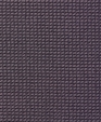Bro537_medium_cropped