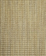 Int133_medium_cropped