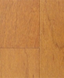 Brazilian_20pecan_20__20caramel__medium_cropped