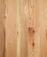 Ecrro2c_oil_medium_cropped
