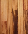 Ecrtwcp_oil_medium_cropped