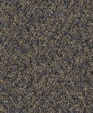 7th_avenue_207_medium_cropped