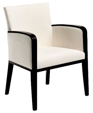 Swan_arm_chair_lg_medium_cropped