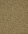 Pombaline_shine_medium_cropped