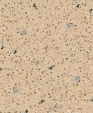 Pf_beige_toano_d_medium_cropped