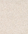 Pf_blanco_paloma_d_medium_cropped