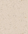 Pf_diamante_d_medium_cropped