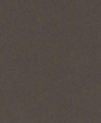 Pf_gris_antracita_d_medium_cropped