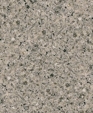Pf_gris_asturias_d_medium_cropped