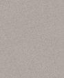 Pf_gris_ceniza_d_medium_cropped