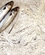 Kinawa_bianco_polished_d_medium_cropped