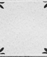 Til_00358_medium_cropped