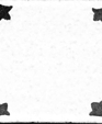 Til_00351_medium_cropped