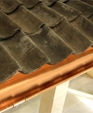 Ter_00676_medium_cropped