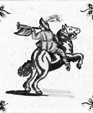 Til_00332_medium_cropped