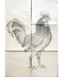 Til_01749_medium_cropped