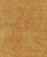 Til_00825_medium_cropped