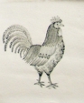 Til_01748_medium_cropped