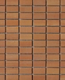Til_01244_medium_cropped