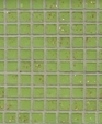 Til_02854_medium_cropped