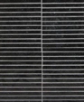 Til_02863_medium_cropped