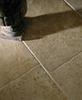 Lim_00381_medium_cropped