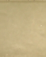 Til_02292_medium_cropped