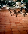 Ter_01060_medium_cropped