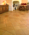Ter_01058_medium_cropped