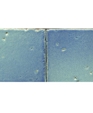 Til_00403_medium_cropped