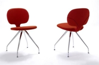 Coccinella5