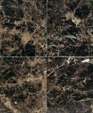 Dt_m725_12x12_emprdrk_medium_cropped