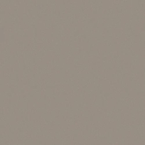 Gray Paver (Smooth Surface) OQ85