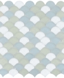 Barbadosscallopfm_medium_cropped
