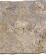 Slgoldenbeachm_medium_cropped