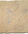 Maduragoldslab_medium_cropped