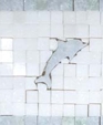 Seacreatborddolph_medium_cropped