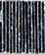Silvershadow_medium_cropped