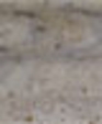 Silvertravertinermm_medium_cropped