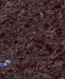 Blue_in_the_night_medium_cropped