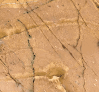 Giallo Antico Marble