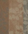 I0252_00112_main_medium_cropped