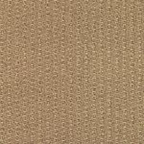 Understated EcoWorx¨ Broadloom
