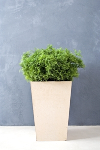 Kenmare Planters