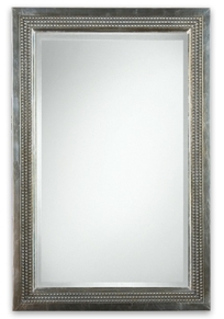Carapace Mirror
