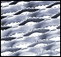 Flooring - GRIP STRUT® Reconditioning Material