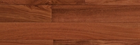 Tiete Rosewood