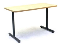 TLeg